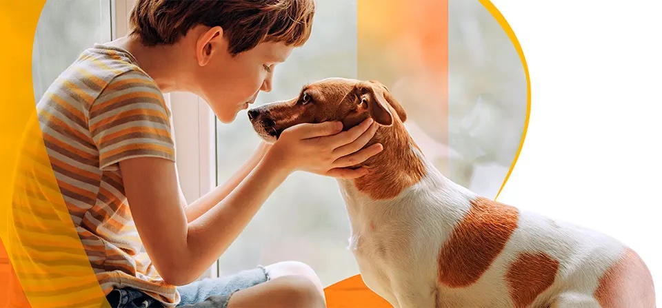 Instalaciones del Hospital Veterinario Alfa Animal en Guadalajara