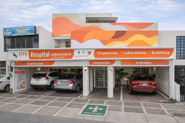 Fachada del Hospital Veterinario Alfa Animal en Av. de los Arcos, Guadalajara