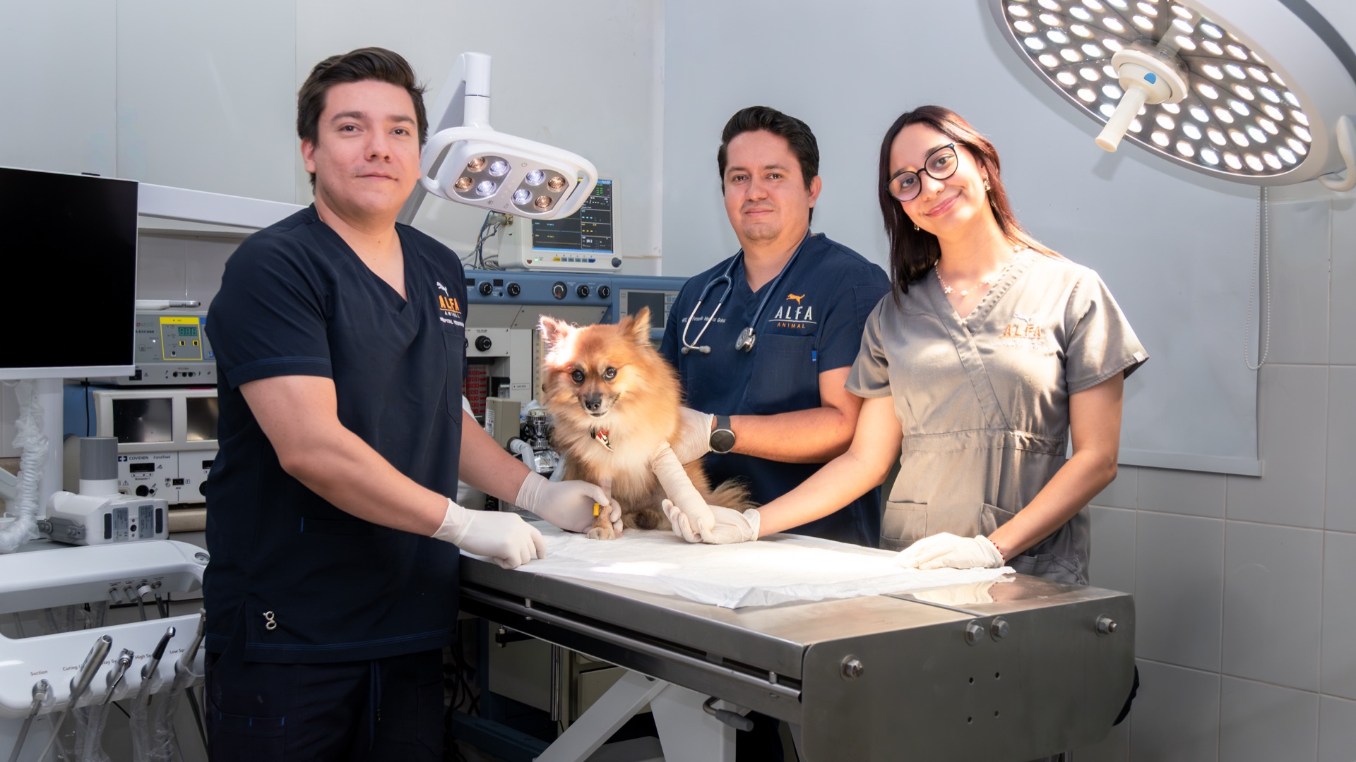 Hospital Veterinario Alfa Animal: atención de urgencias 24 horas para perros y gatos en Guadalajara