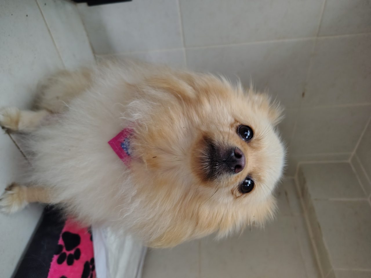 Foto