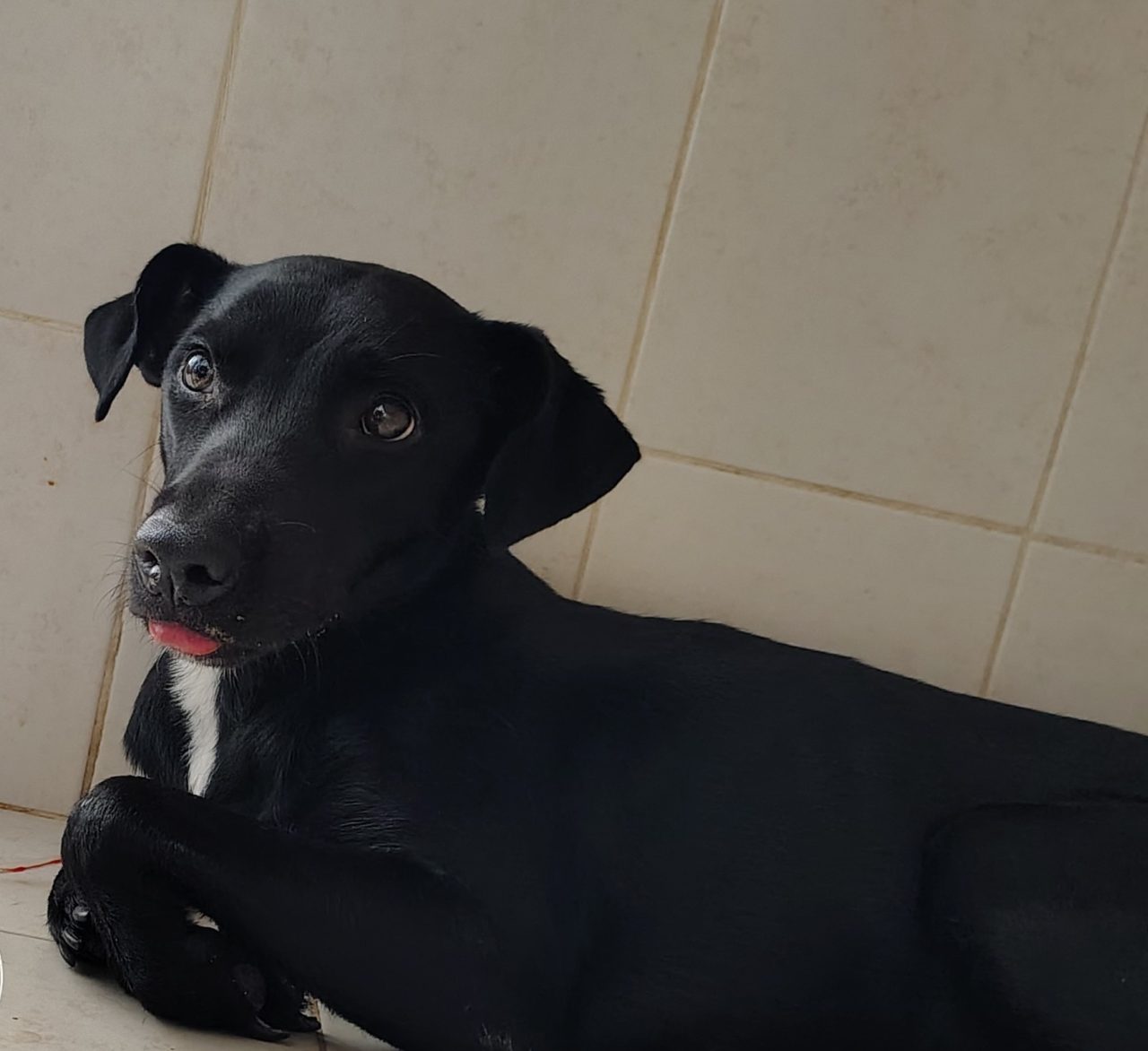 Foto