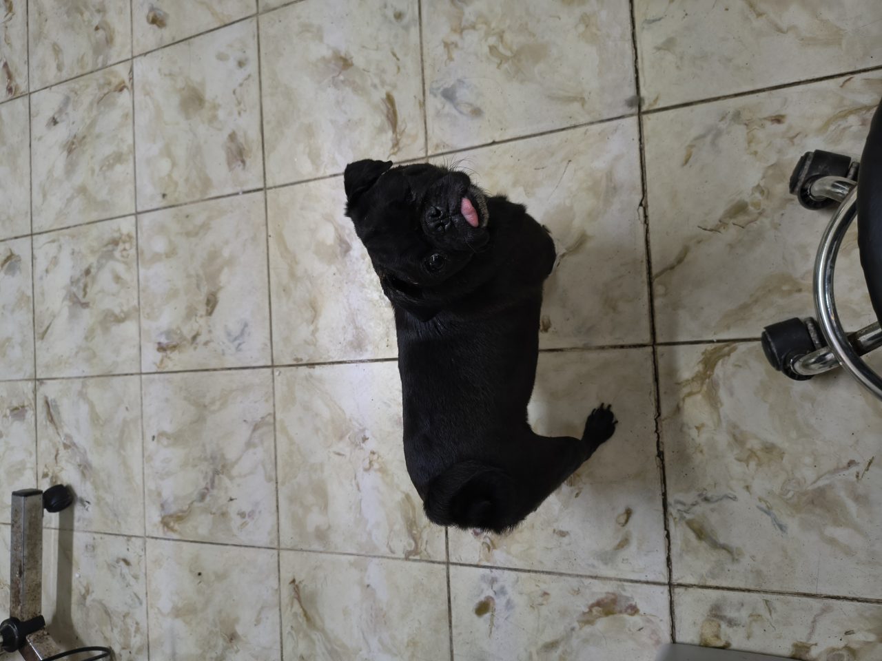 Foto