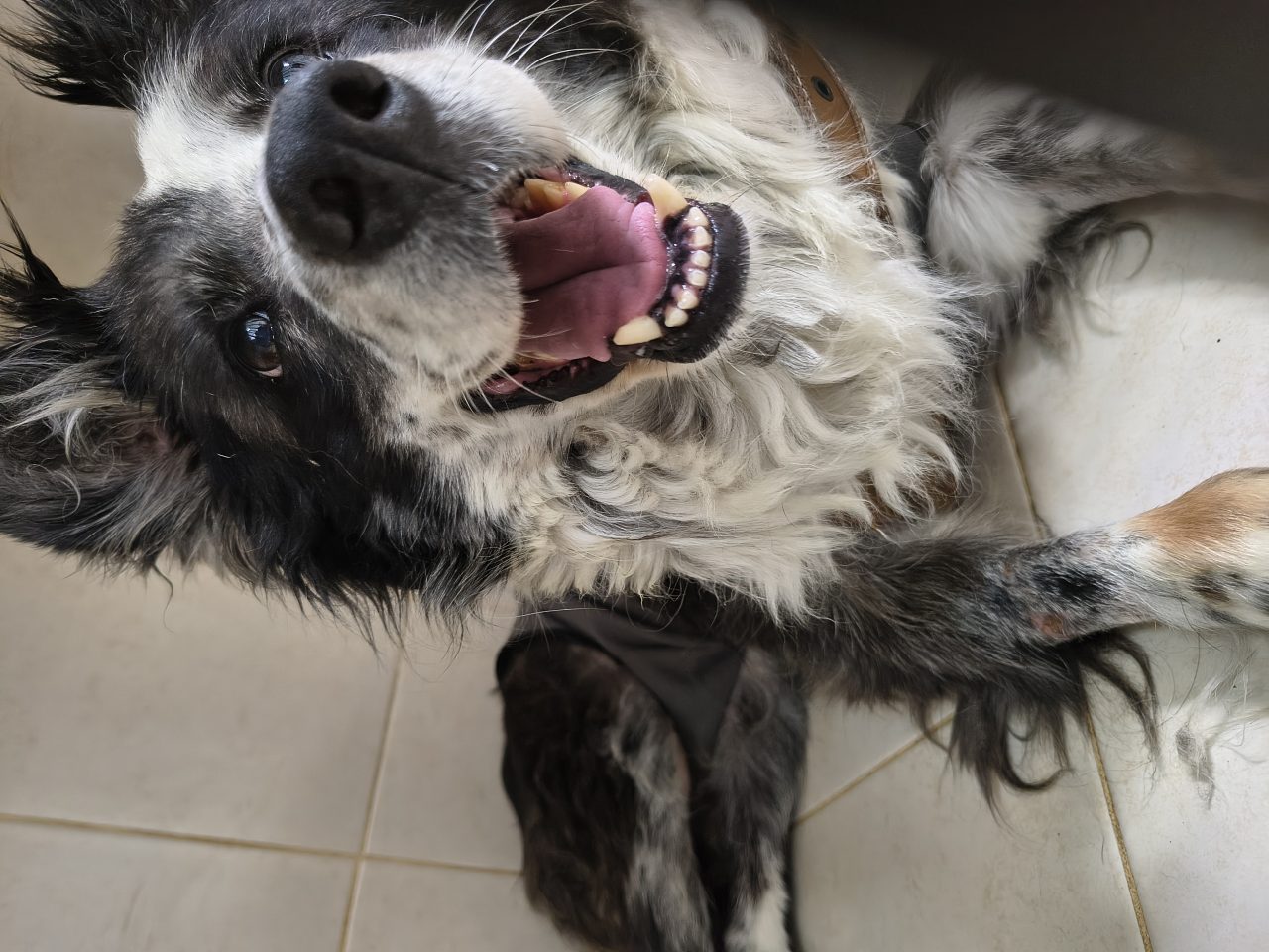 Foto