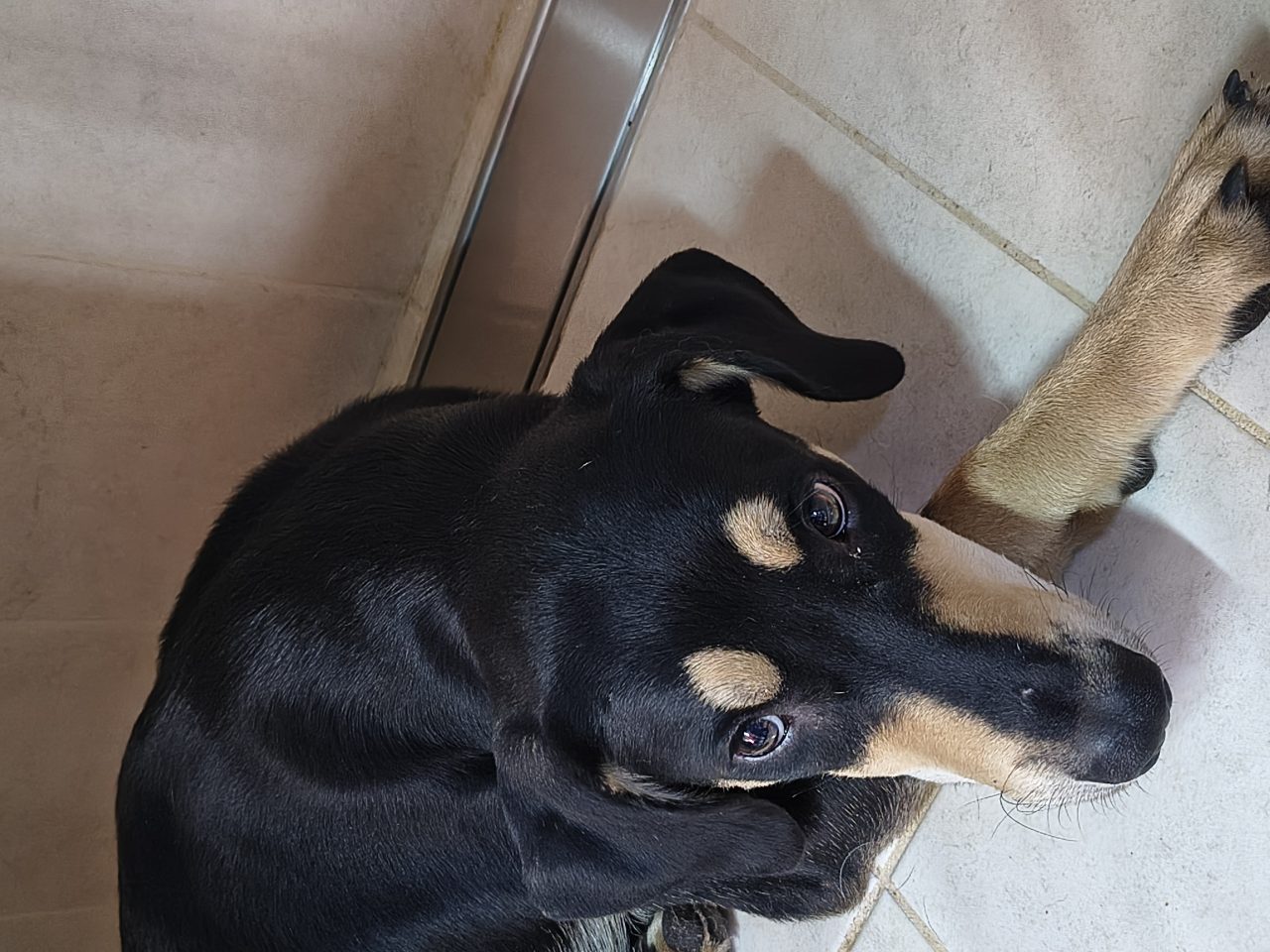 Foto