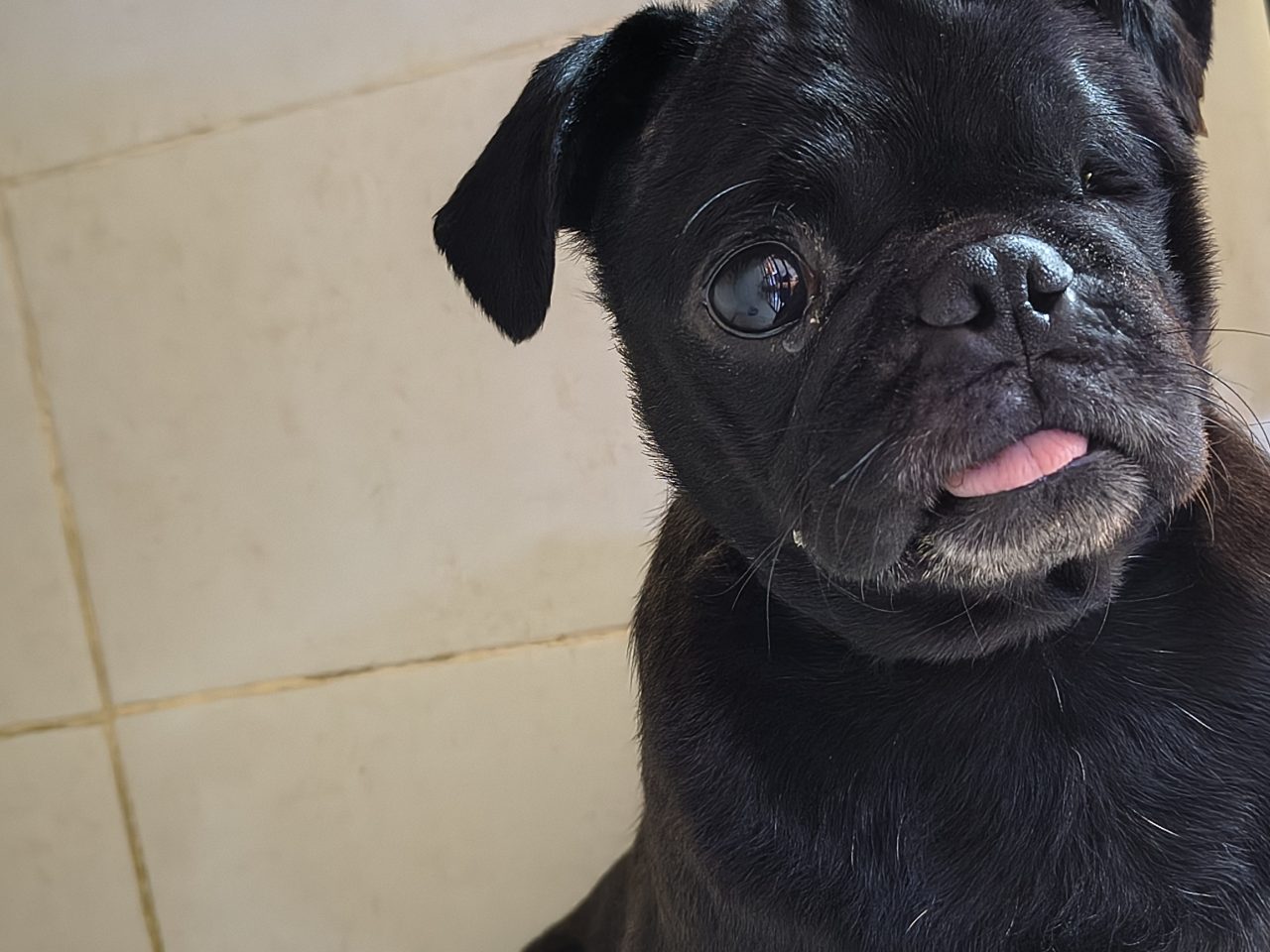 Foto