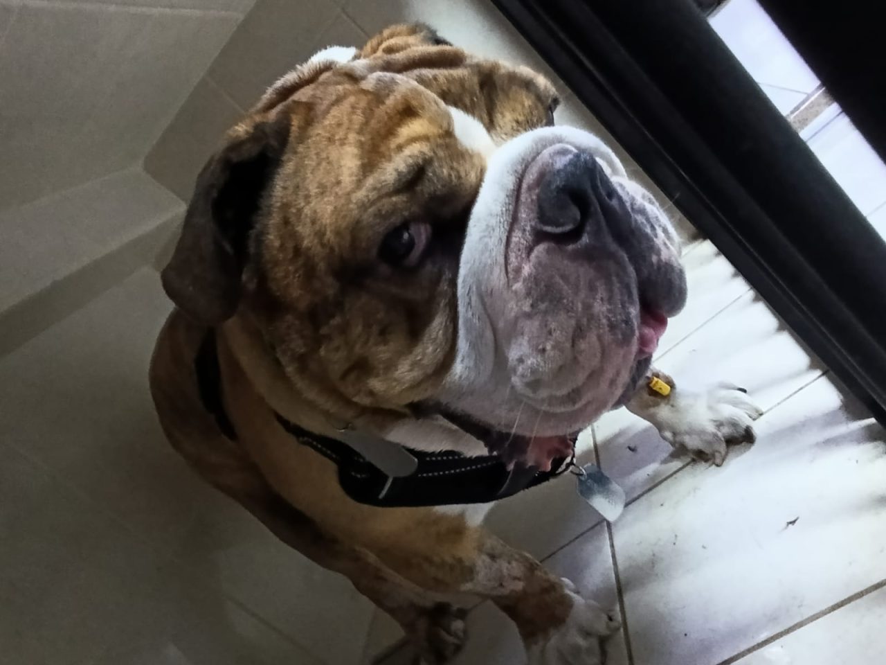 Foto