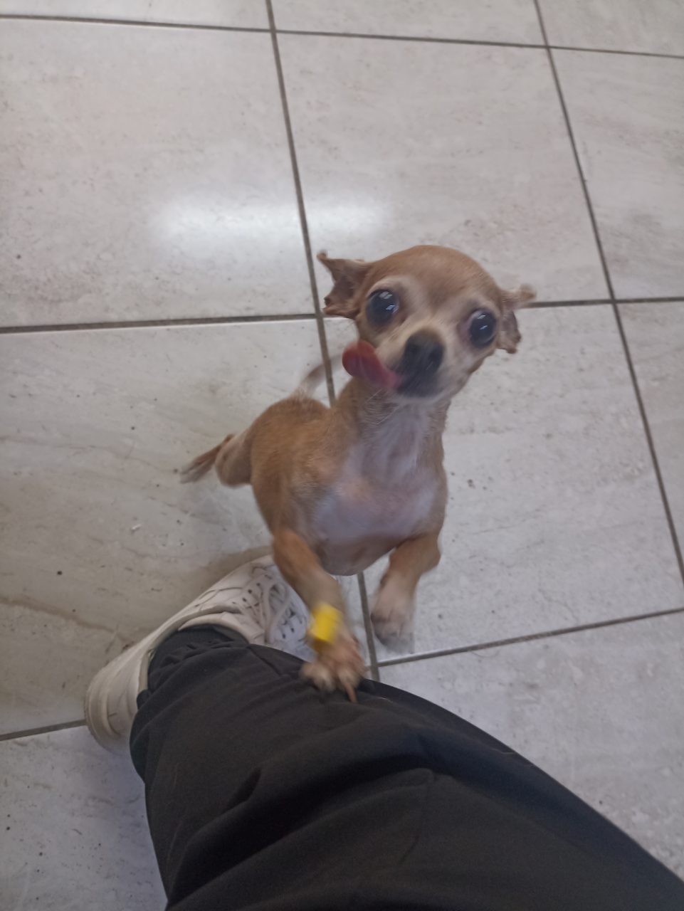 Foto