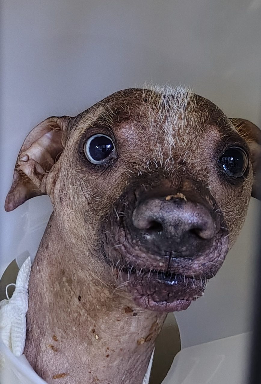 Foto