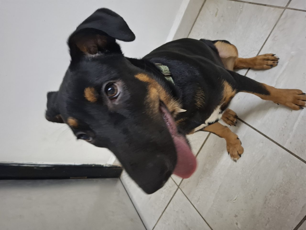 Foto