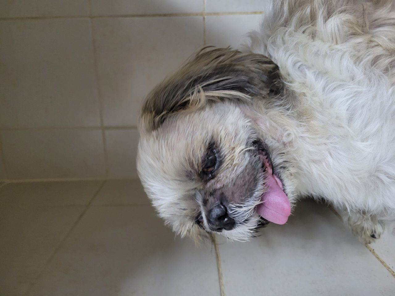 Foto