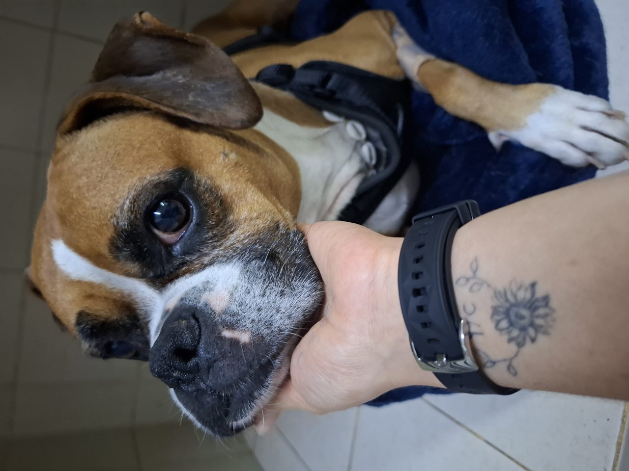 Foto