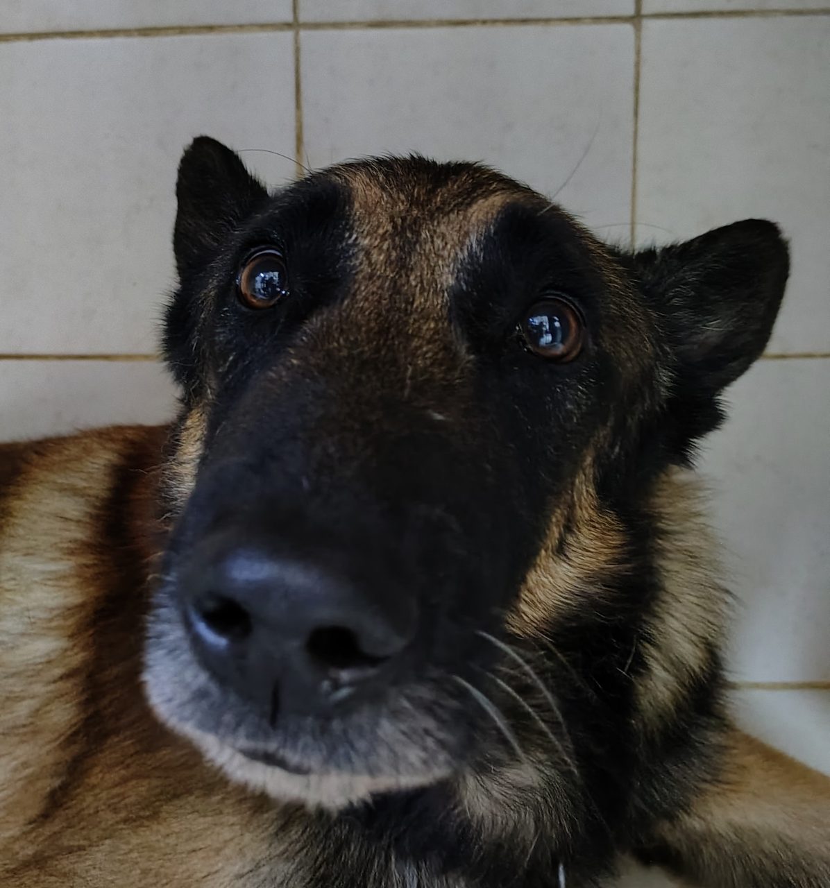 Foto