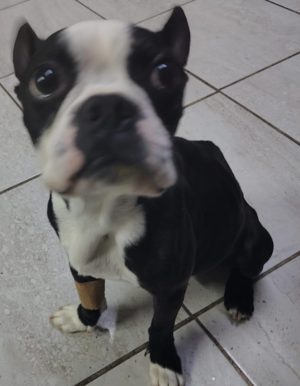 Foto