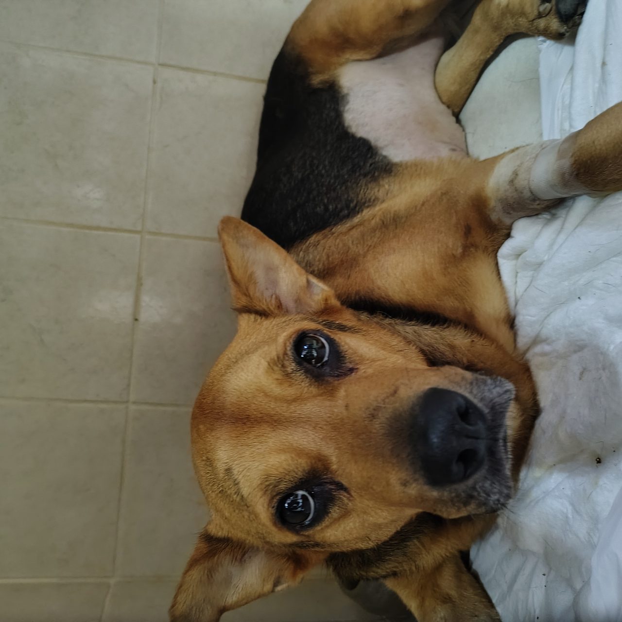 Foto