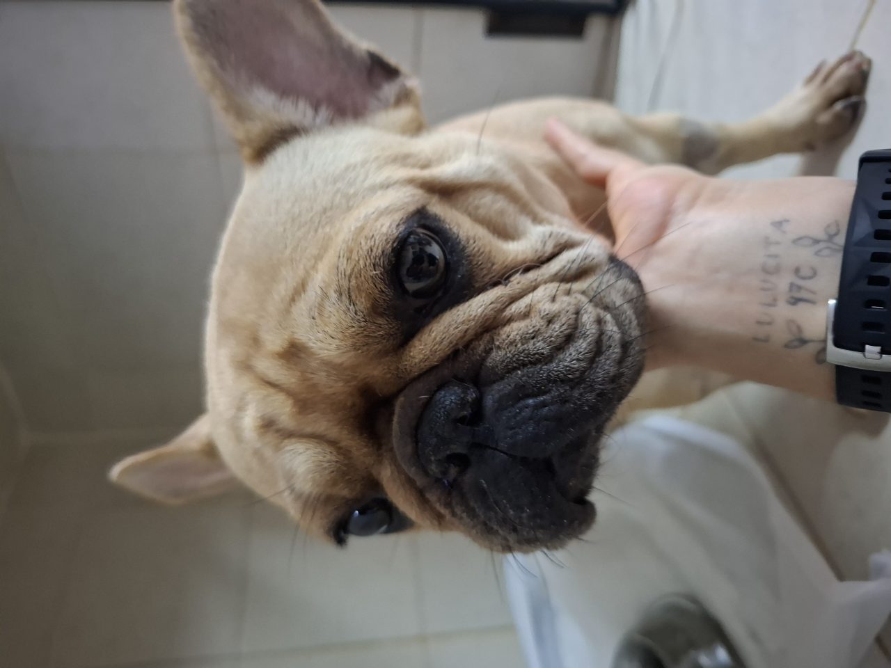 Foto