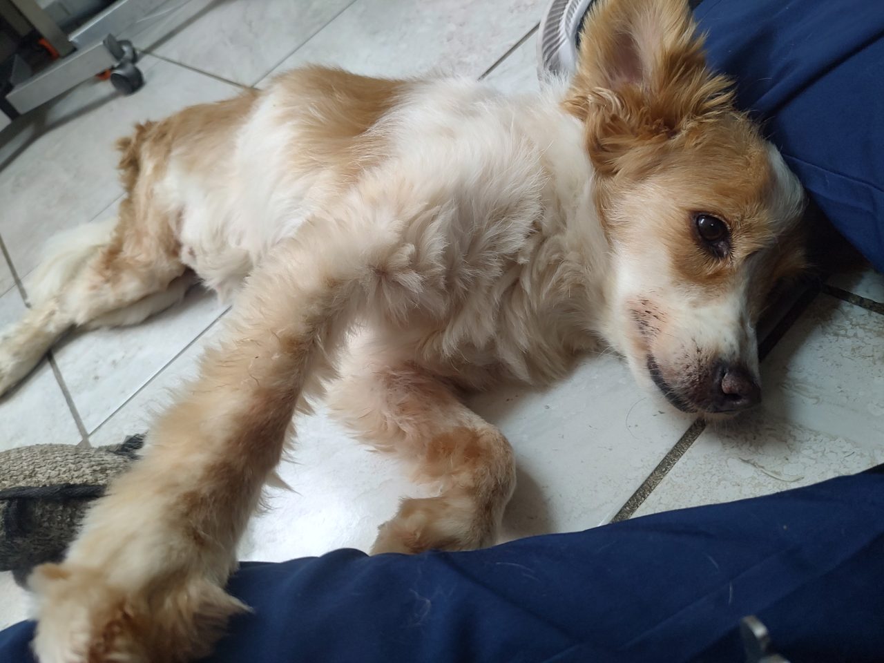 Foto