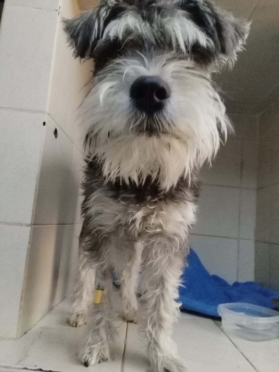 Foto