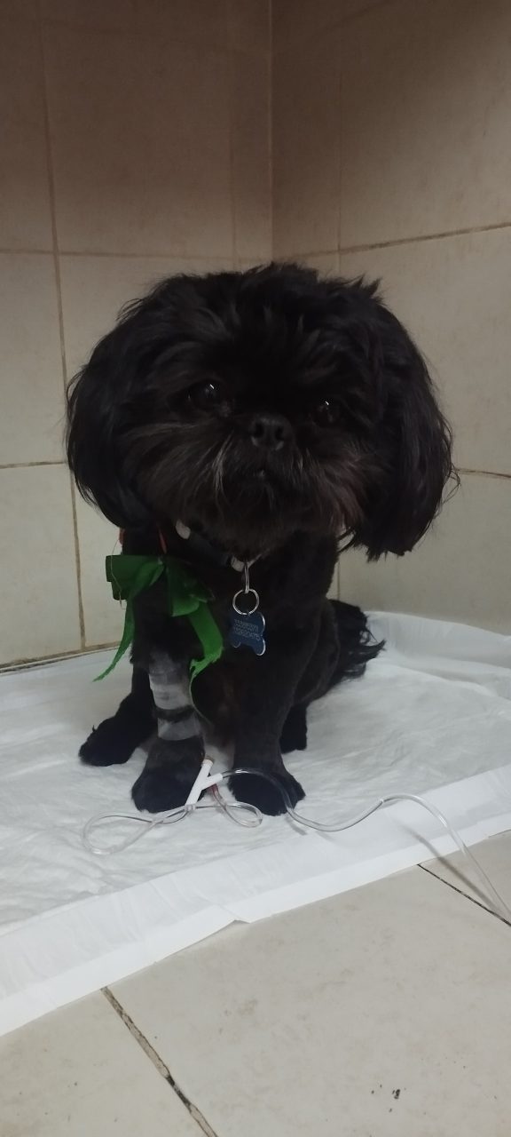 Foto