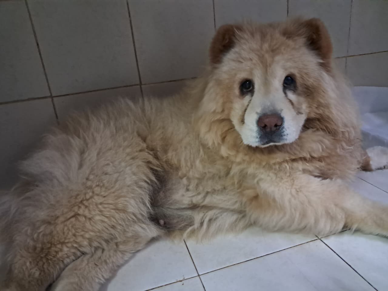 Foto