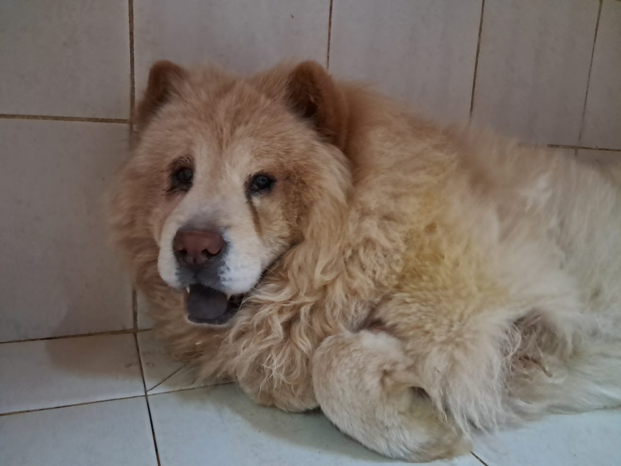 Foto