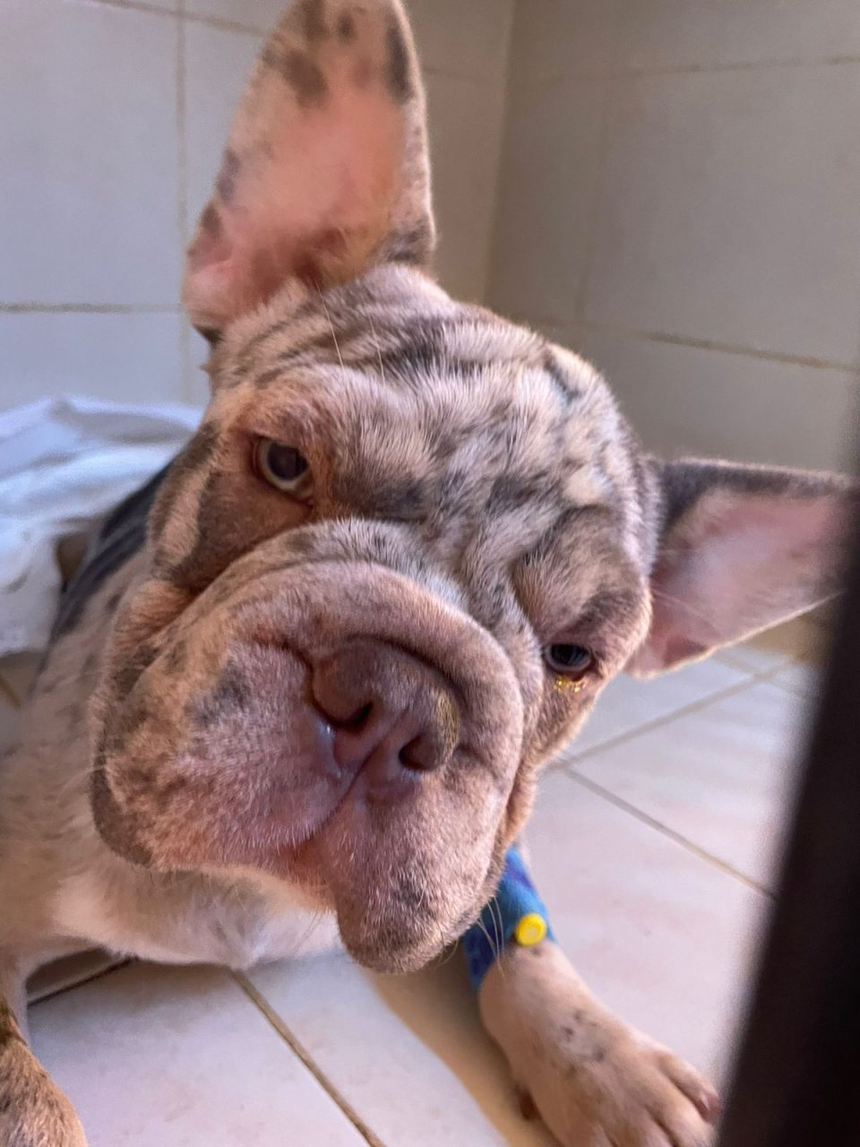 Foto