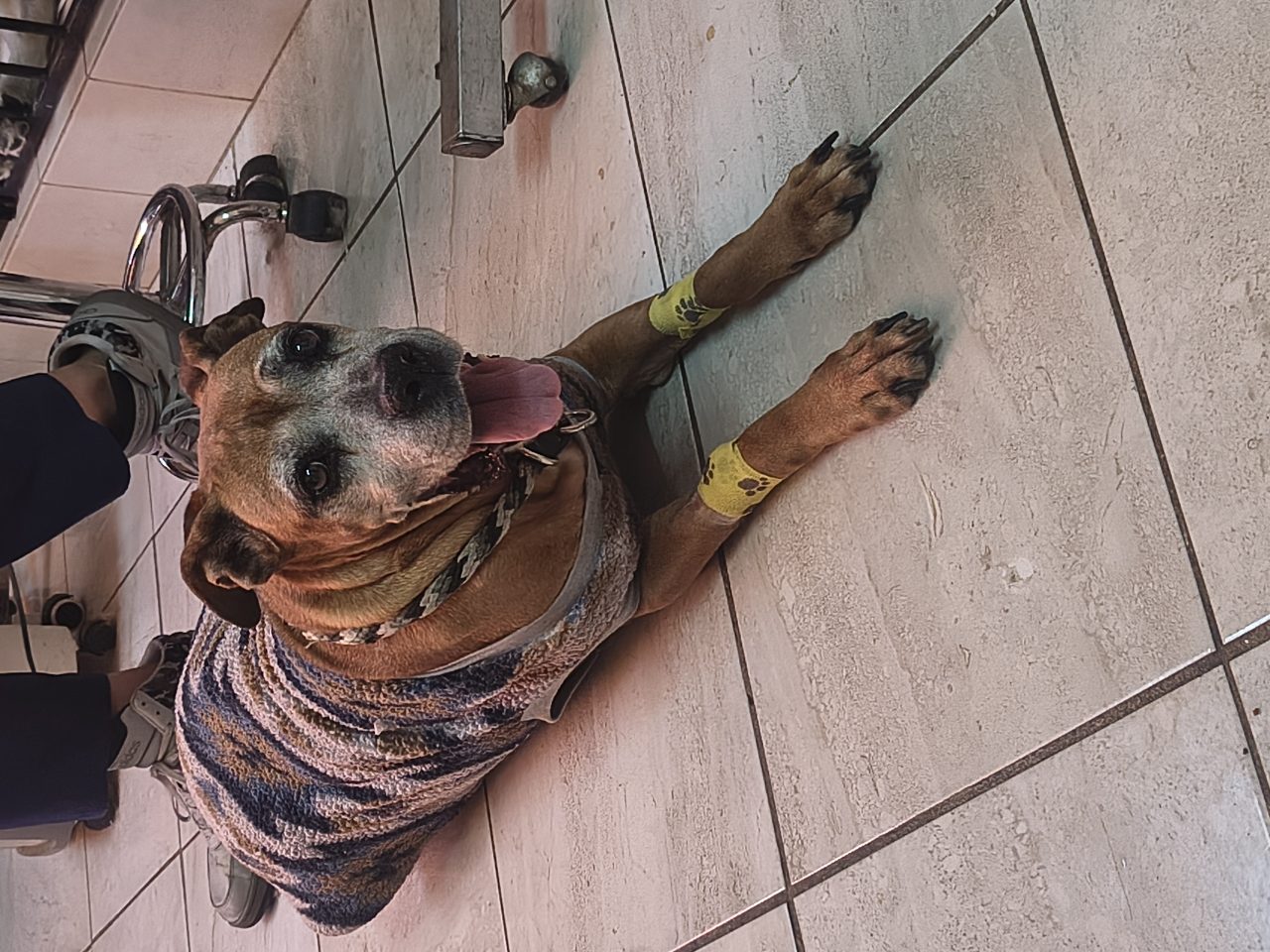 Foto