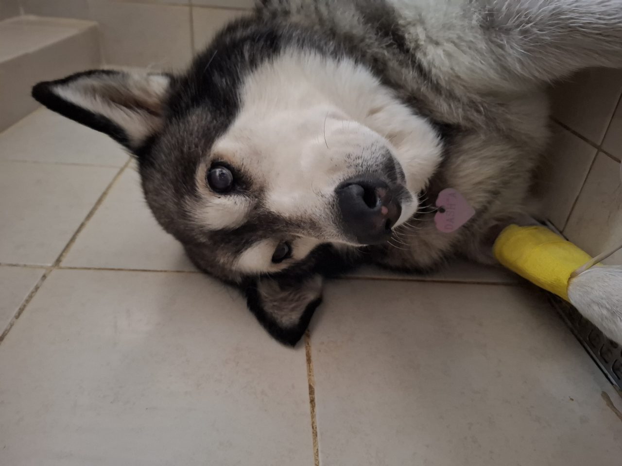 Foto