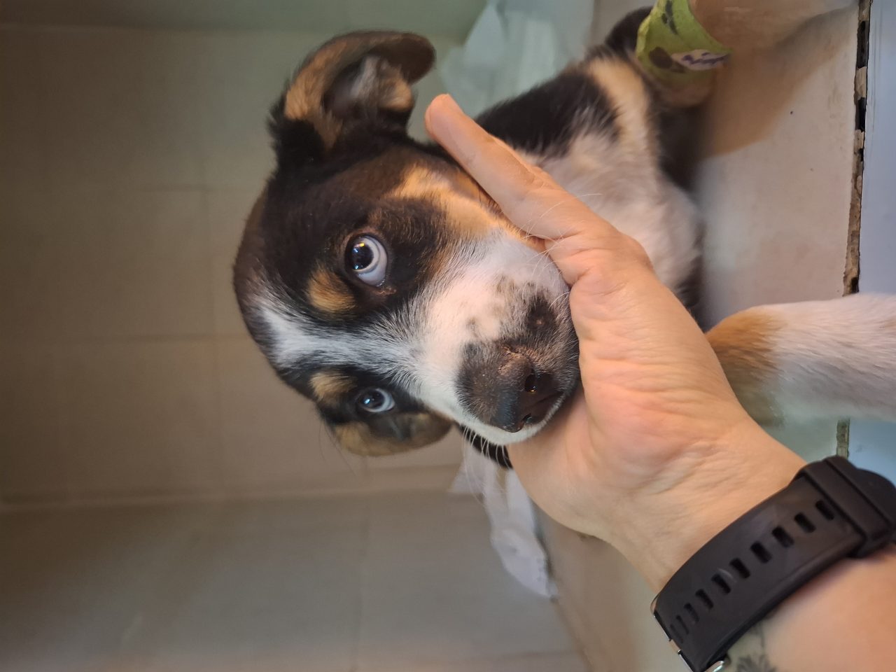 Foto