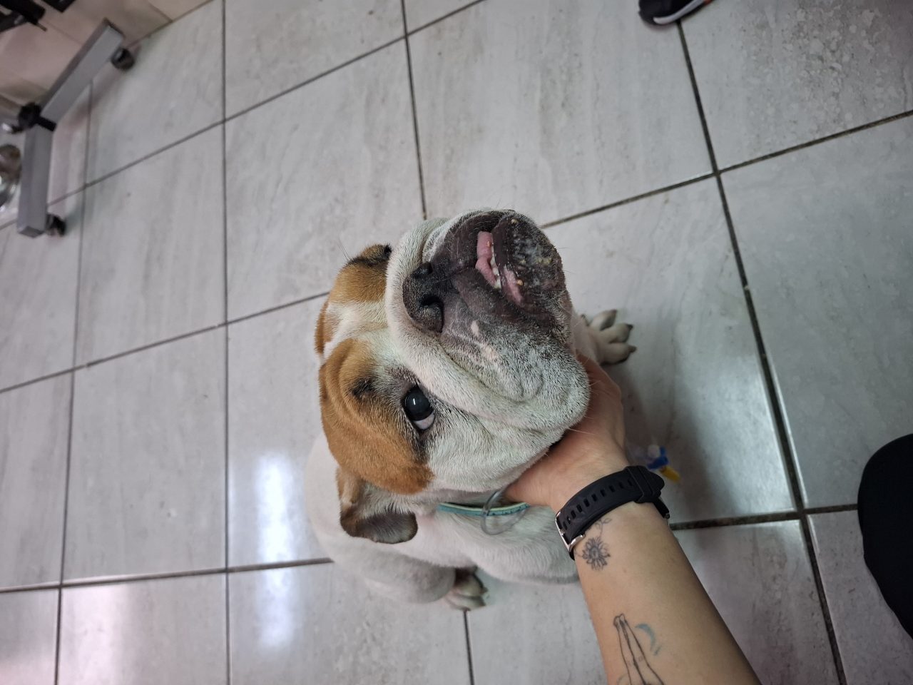 Foto