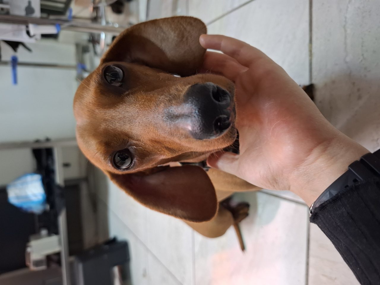 Foto