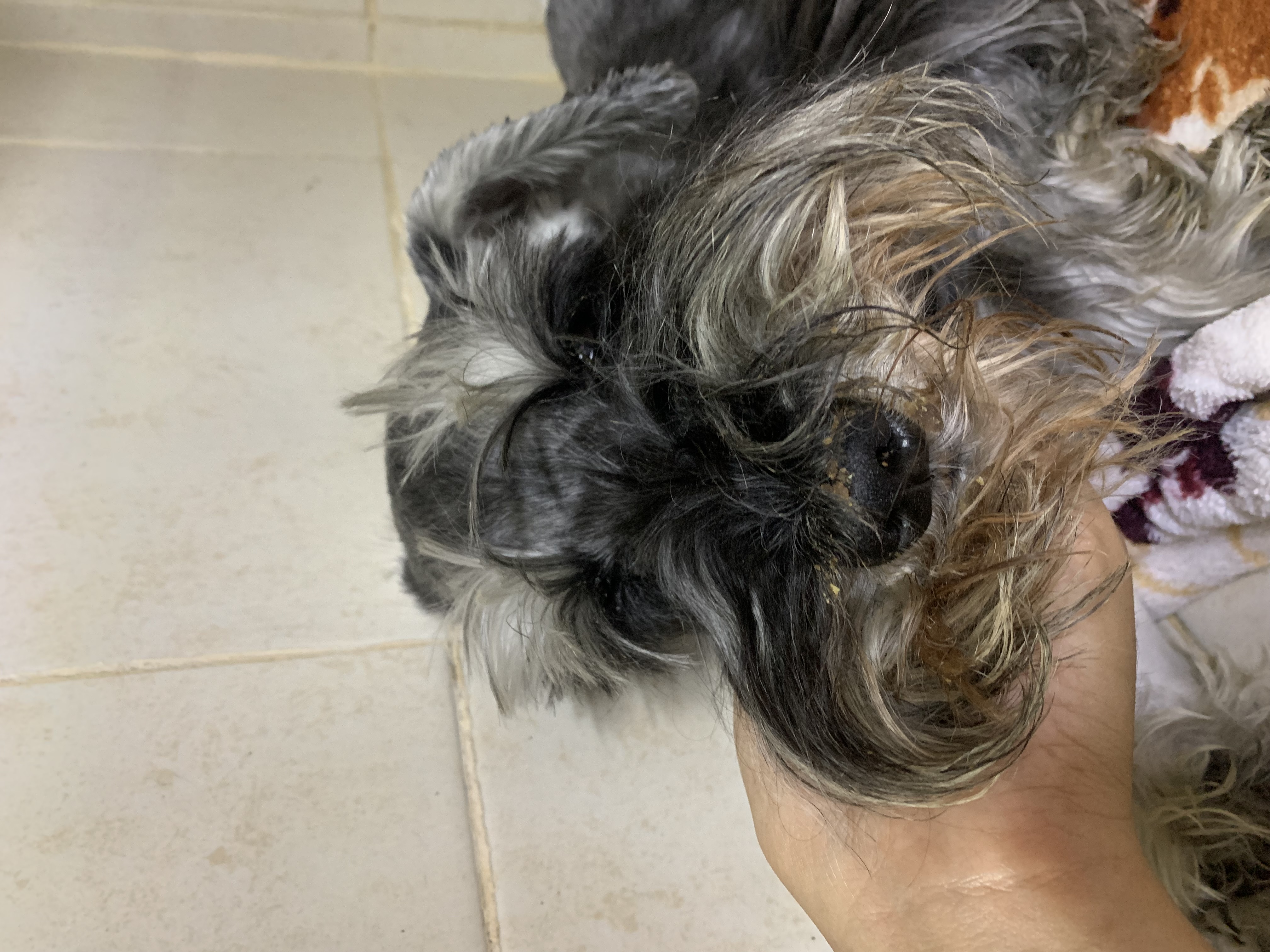 Foto