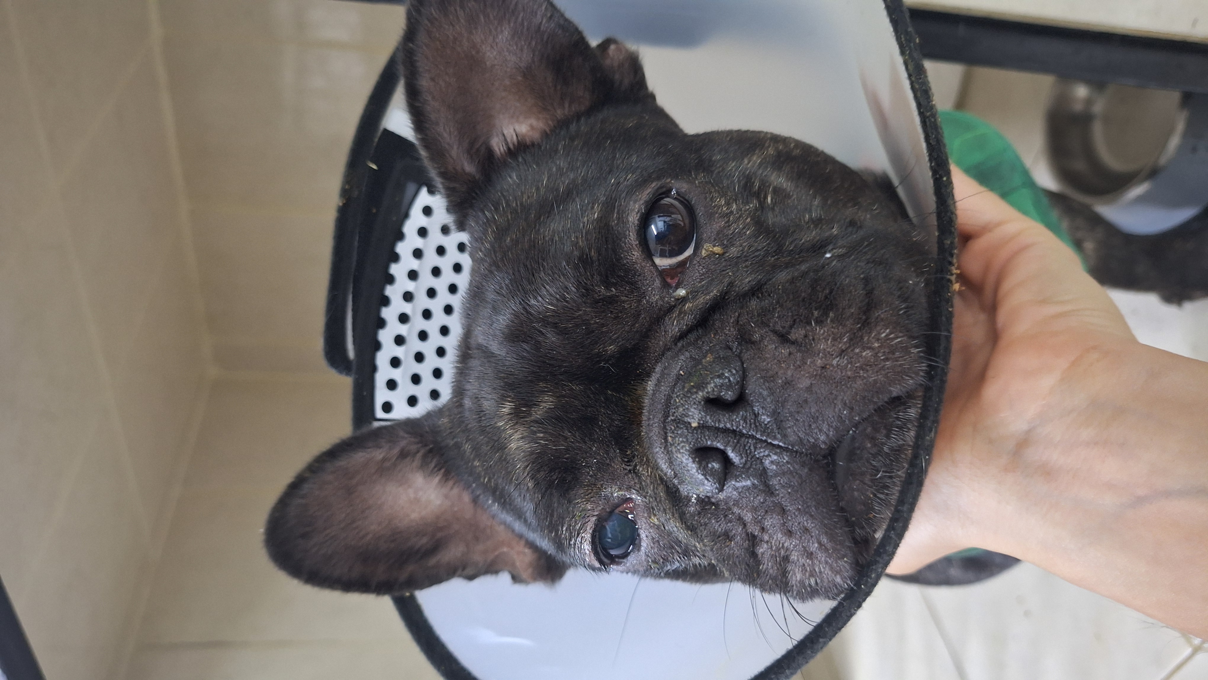 Foto