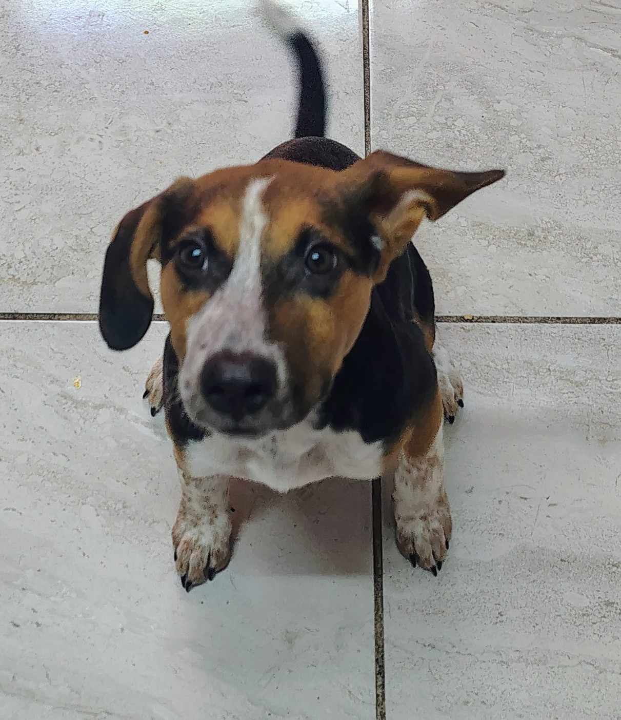 Foto