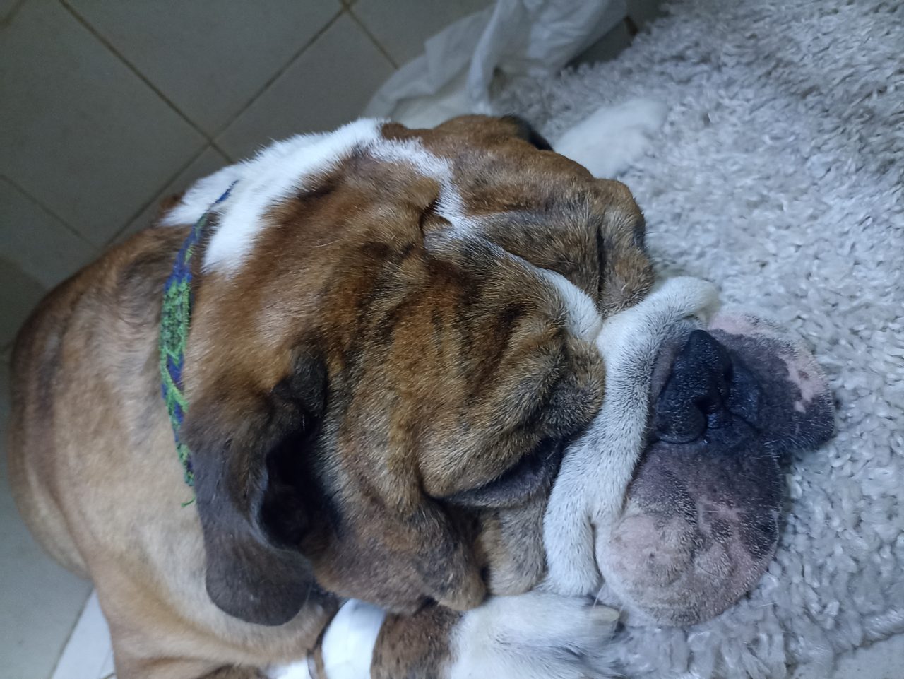 Foto
