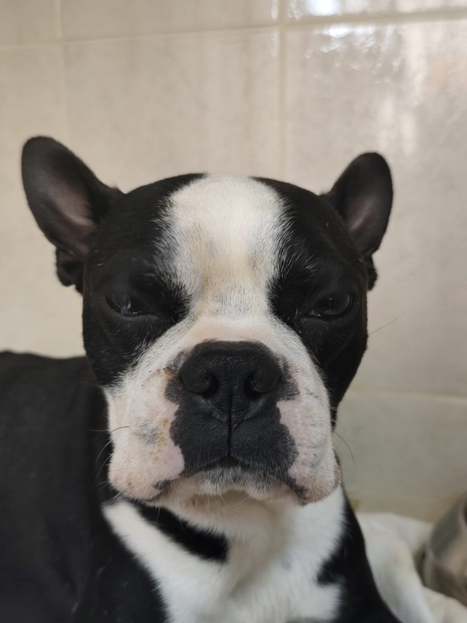 Foto