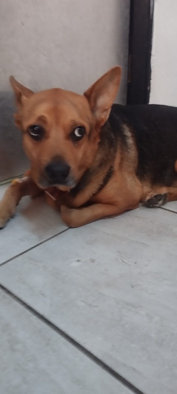 Foto