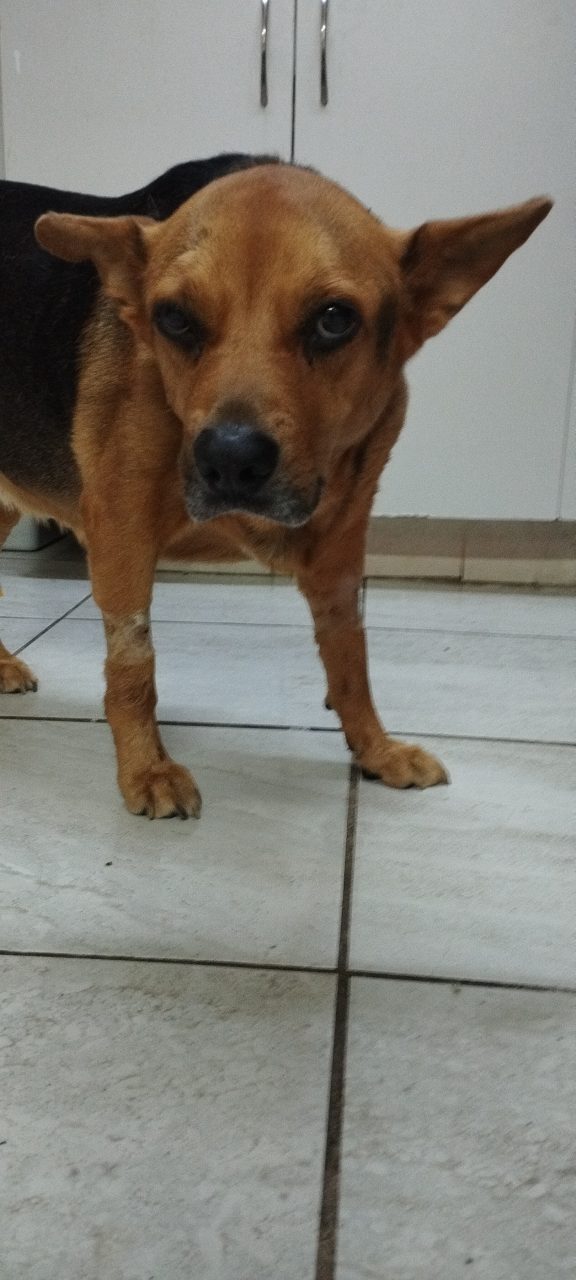 Foto