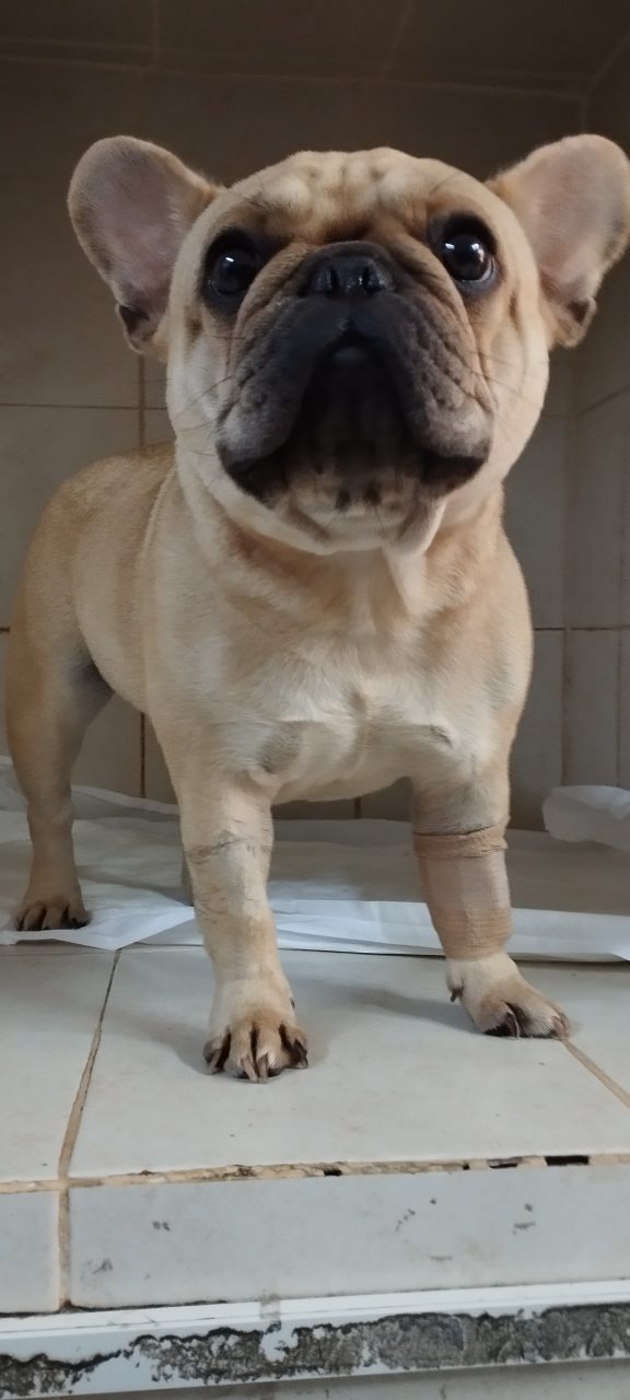 Foto
