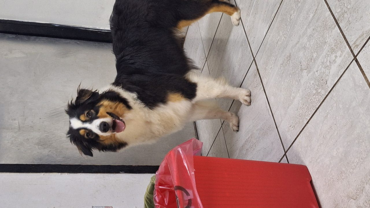 Foto