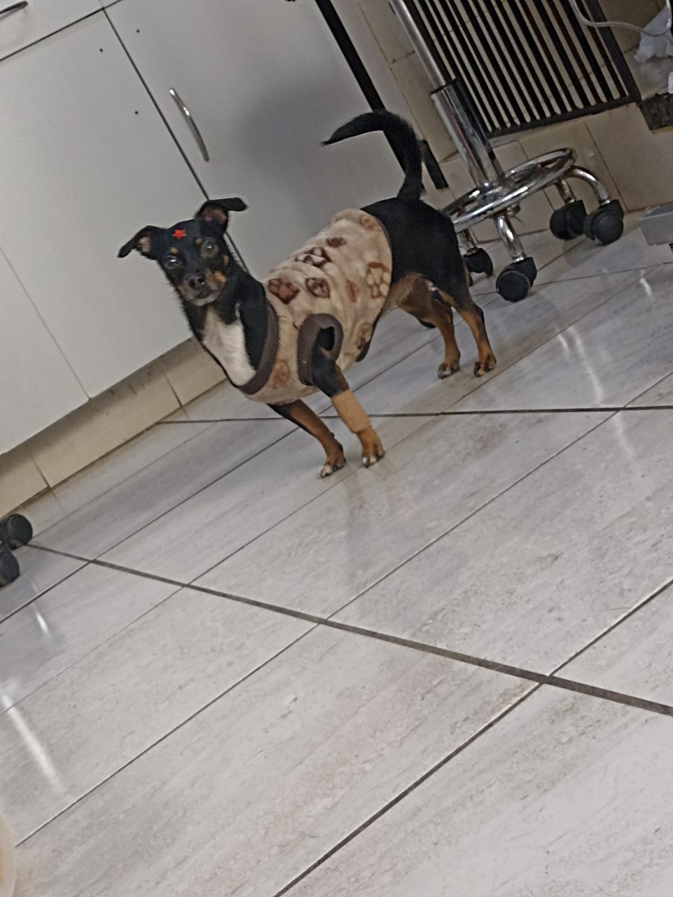 Foto