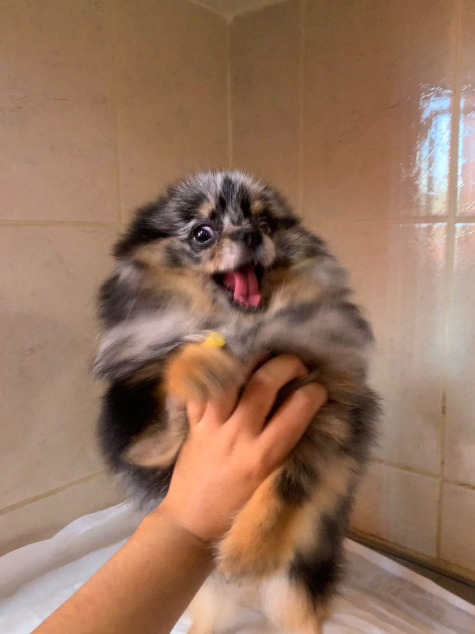 Foto
