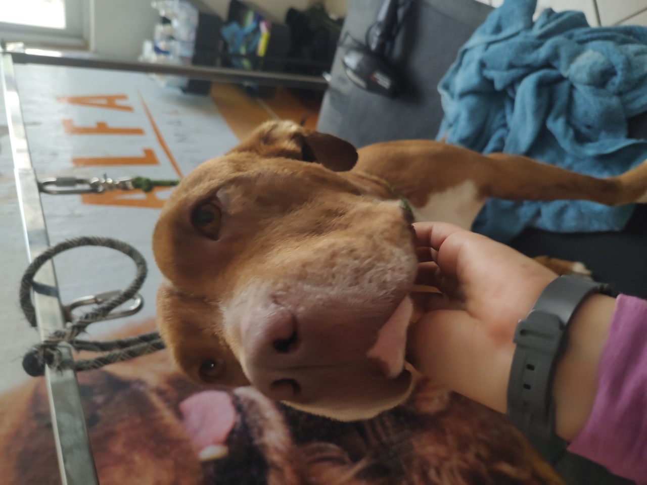 Foto