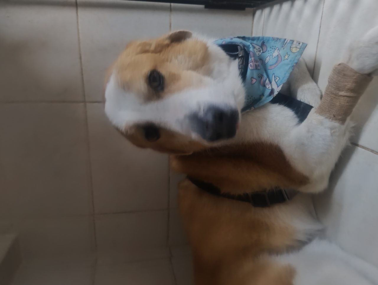 Foto