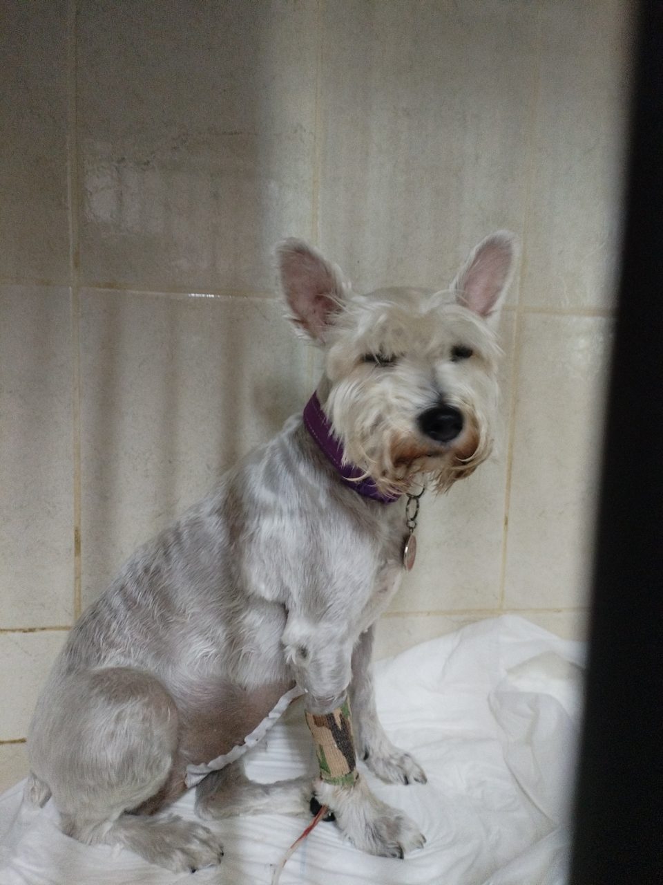 Foto
