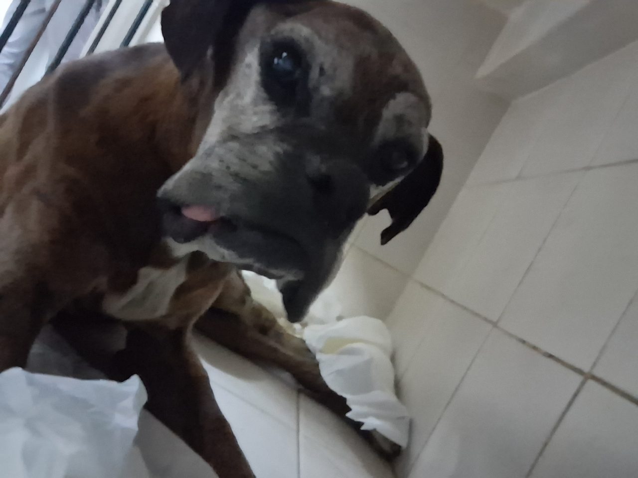 Foto