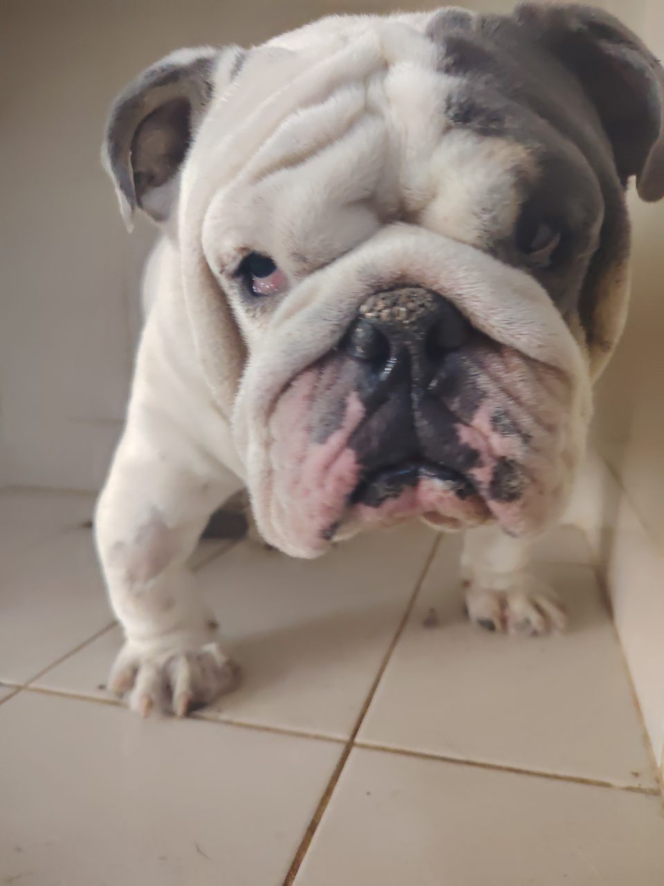 Foto
