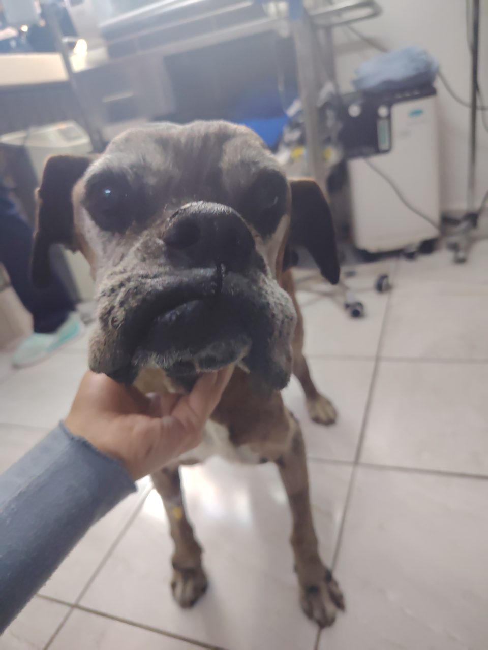 Foto