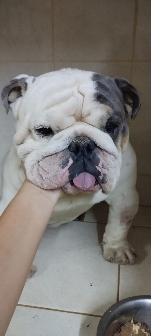 Foto