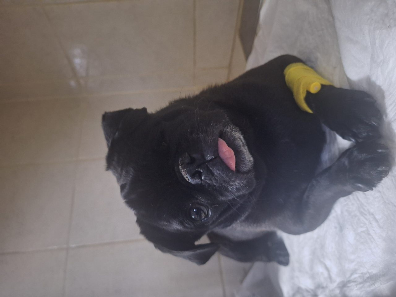 Foto