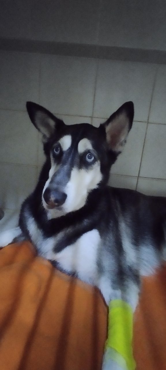 Foto